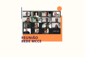 Rede de Entidades do MCCE se reúne para debater o GT da Reforma Legislativa Eleitoral