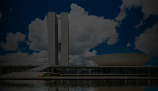 Saiba quem são os (as) deputados (as) e senadores (as) que votaram a favor das emendas do relator, o chamado “orçamento secreto”